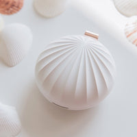 Portable Aroma Diffuser