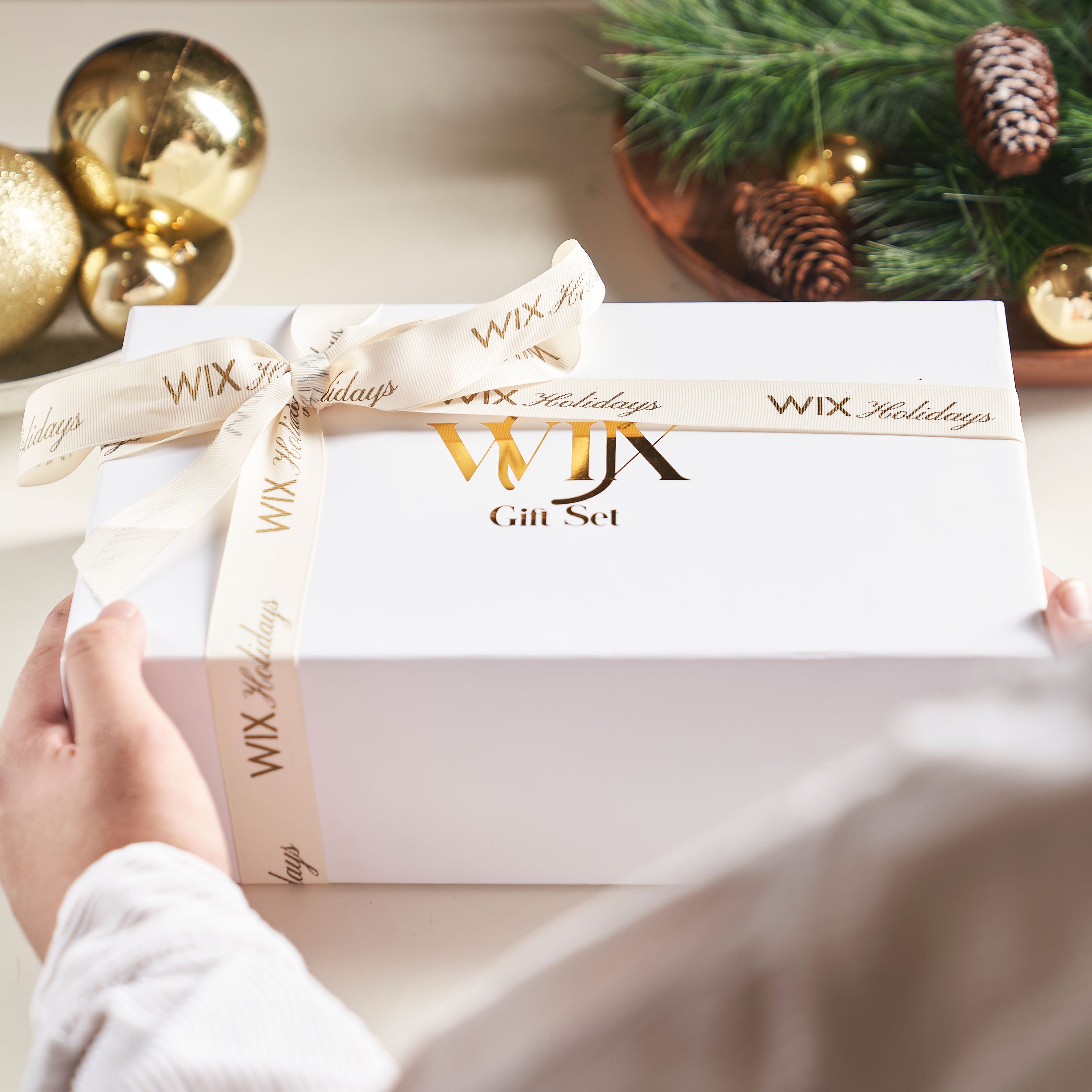 Feliz Holiday Gift Set